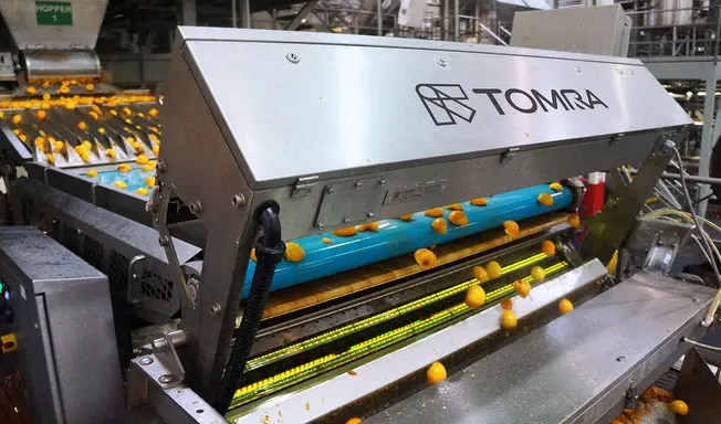 peach-halves----sentinel-ii-1